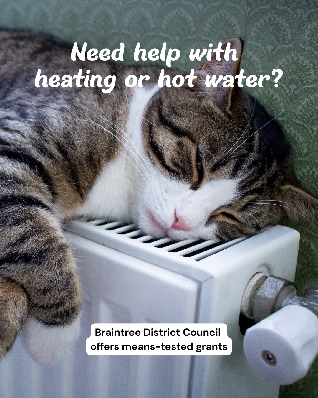 A cat lying on a radiator with the text Need help with  heating or hot water? Braintree District Council offers means-tested grants