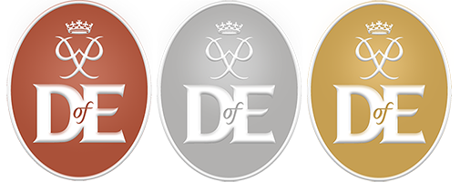 Duke of Edinburgh badges