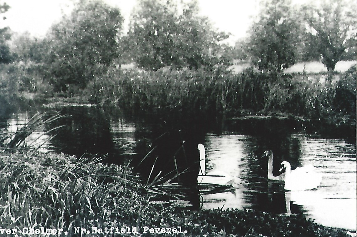 Various scenes from around the village