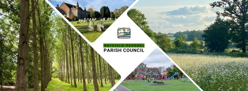 Alt text: four panels featuring scenes from Hatfield Peverel - a row of tall oak trees from Wickham Bishops Community Park; a long shot across the cemetery of St Andrew's Church; a landscape shot across Stonepath Meadows & a longshot of the playground equipment at the recreation ground.