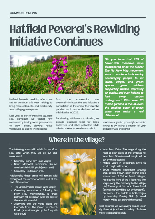 Rewilding VV mag article
