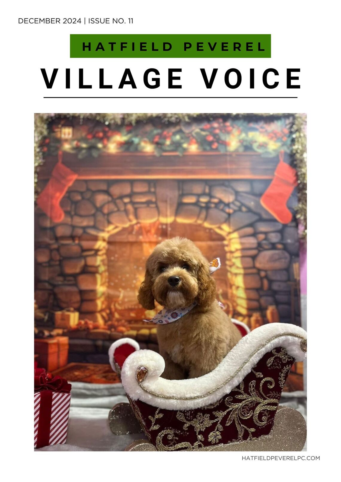 Magazine cover for December 2024, Issue No. 11 of &#39;Hatfield Peverel Village Voice.’featuring an adorable brown dog sitting in a decorative red and gold sleigh, set against a cozy fireplace background adorned with Christmas stockings and garlands. The website &#39;hatfieldpeverelpc.com&#39; is displayed at the bottom.