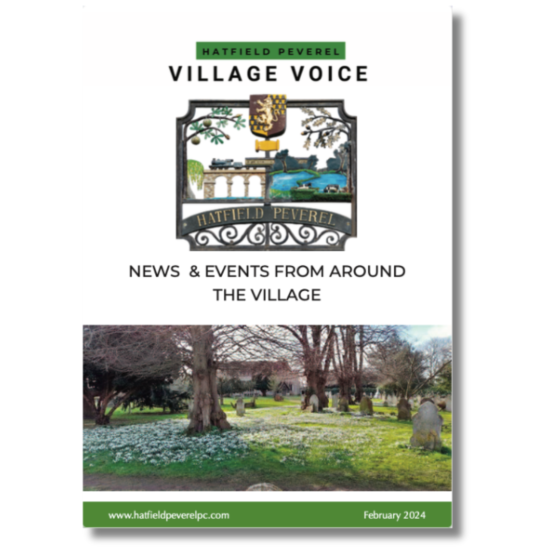 VV_Feb_Cover