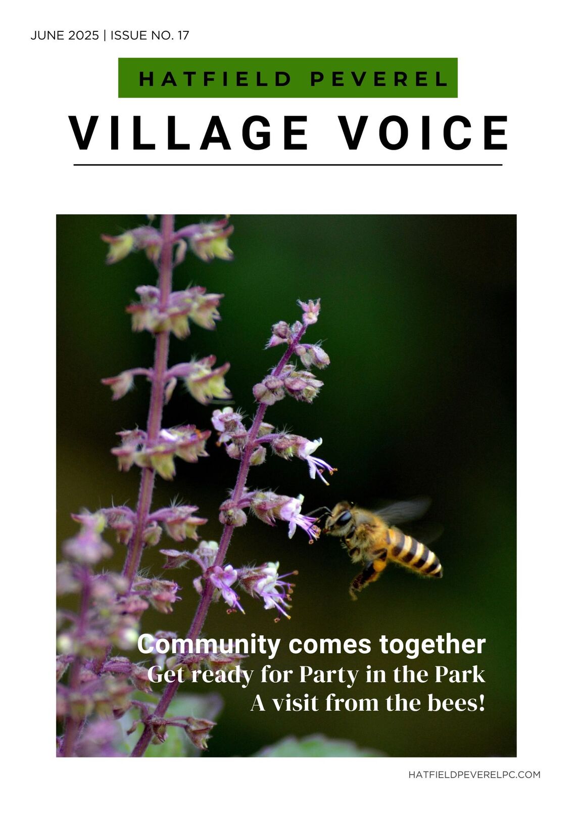 Village Voice cover page featuring photo of a bee approaching a flower with the copy lines &quot;Community comes together, Get ready for Party in the Park, A visit from the bees!&quot;