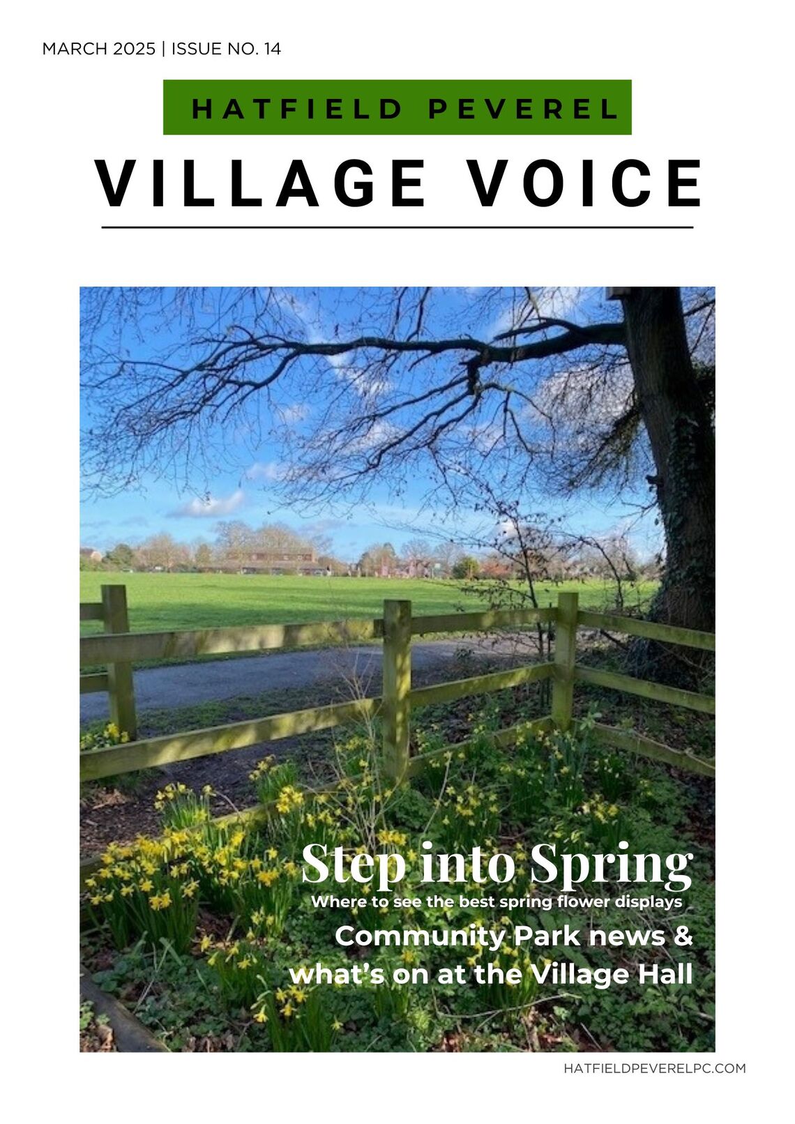 Cover of the March 2025 issue of &#39;Hatfield Peverel Village Voice&#39; magazine features a photograph of a countryside scene with a wooden fence in the foreground, yellow daffodils growing at its base, and a tree with bare branches extending across the sky. A pathway runs alongside the fence, leading to a green field with houses in the background under a bright blue sky with scattered clouds.