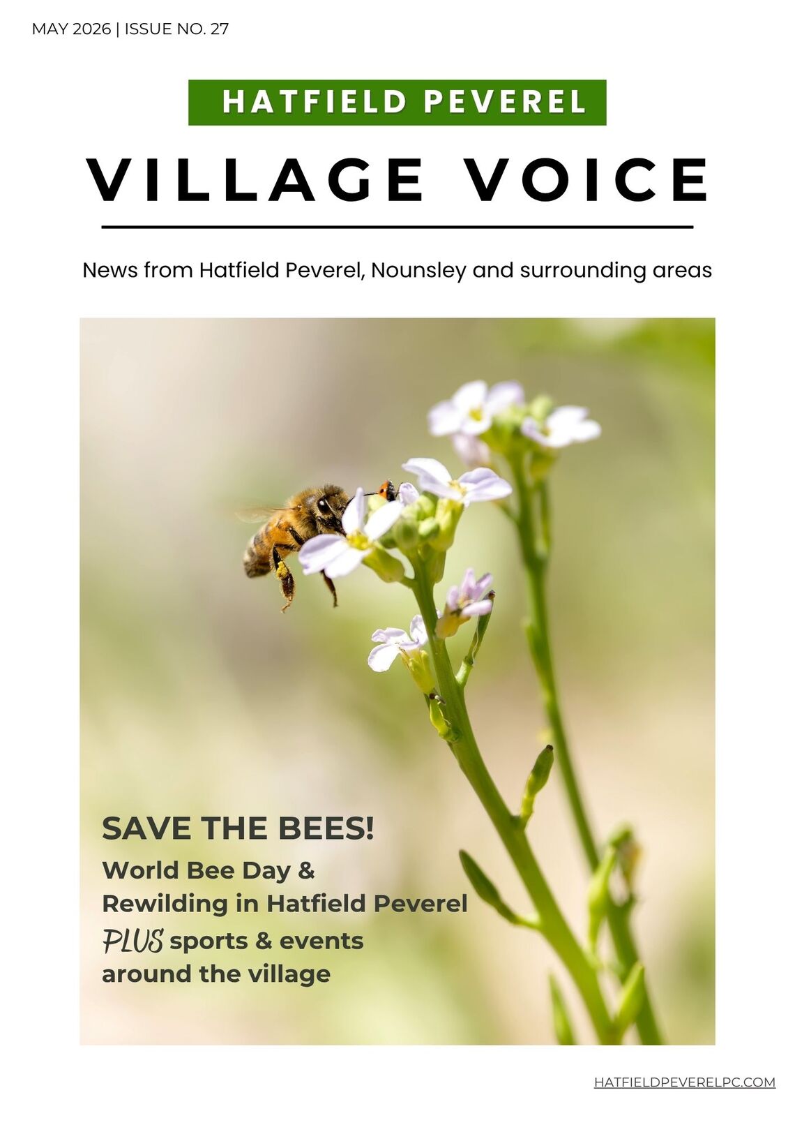 Cover of May Village Voice, Hatfield Peverel Parish Council's monthly magazine featuring a bee feeding from a white wildflower on a green background